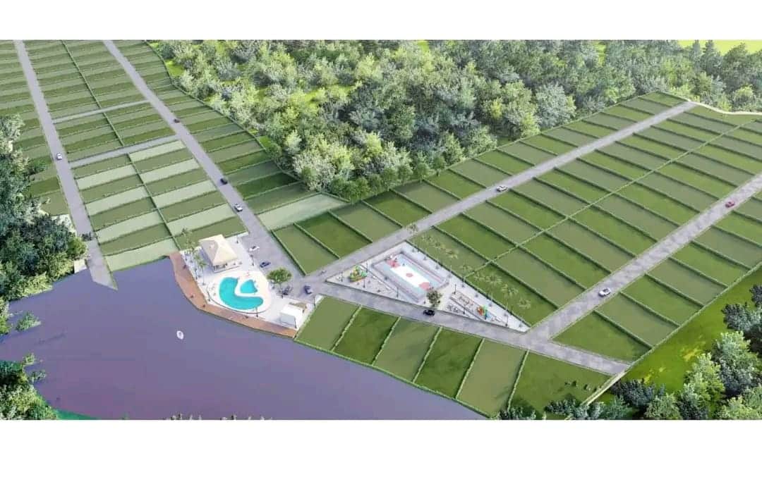 WhatsApp Image 2025-08-11 at 11.12.15 AM