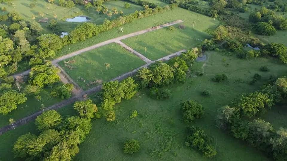 WhatsApp Image 2025-08-11 at 11.12.19 AM